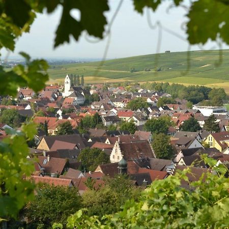 Ferienwohnung Schneckental Pfaffenweiler Bagian luar foto