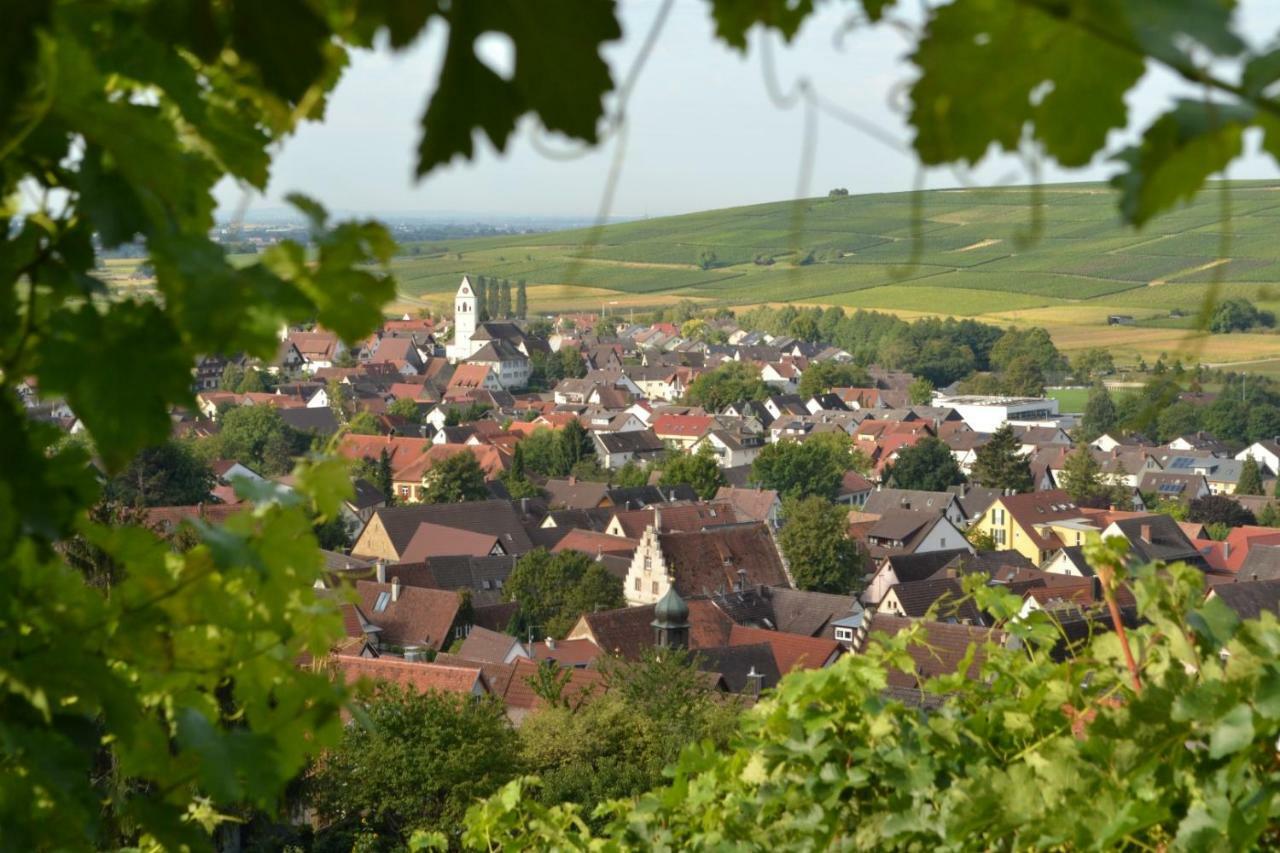 Ferienwohnung Schneckental Pfaffenweiler Bagian luar foto